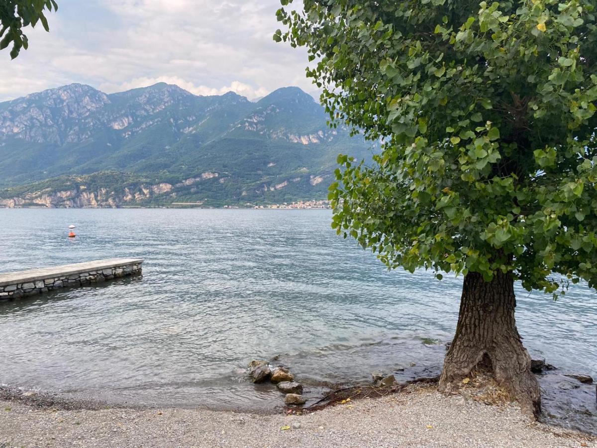 Al Cottage Oliveto Lario Exterior foto